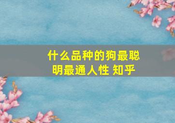 什么品种的狗最聪明最通人性 知乎